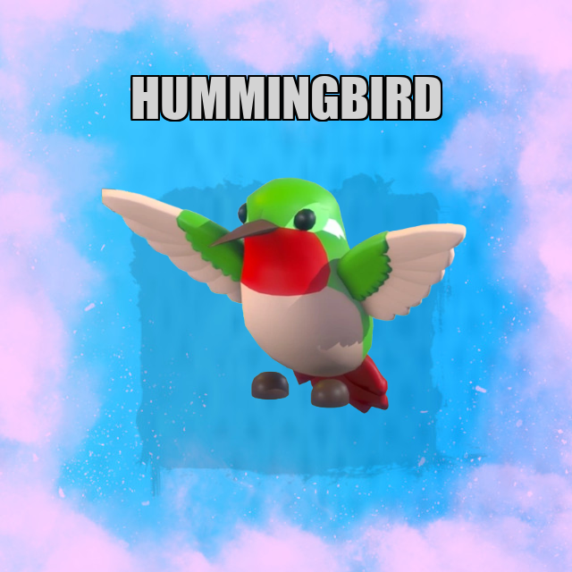 Hummingbird NO POTION Adopt Me