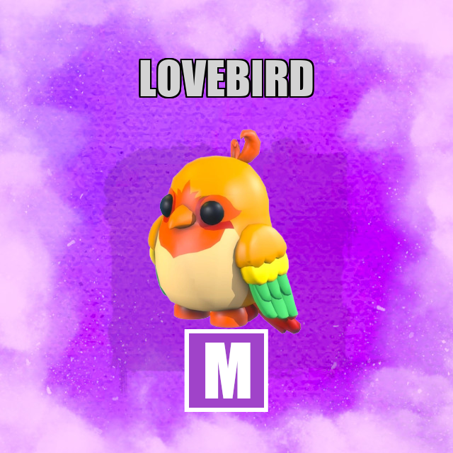 Lovebird MEGA Adopt Me