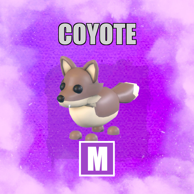 Coyote MEGA Adopt Me