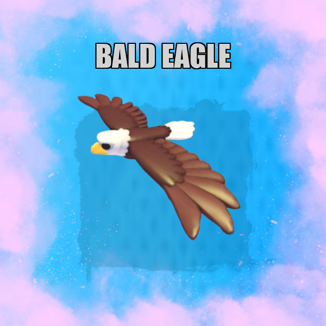 Bald eagle NO POTION Adopt Me