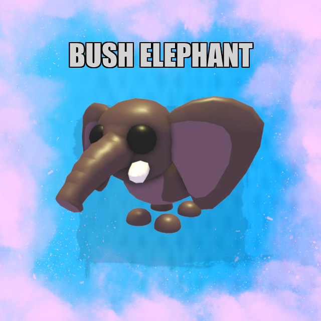 Bush Elephant NO POTION Adopt Me