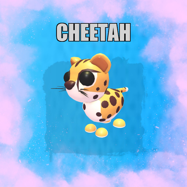 Cheetah NO POTION Adopt Me