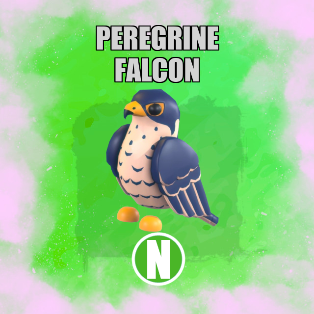 Peregrine Falcon NEON Adopt Me