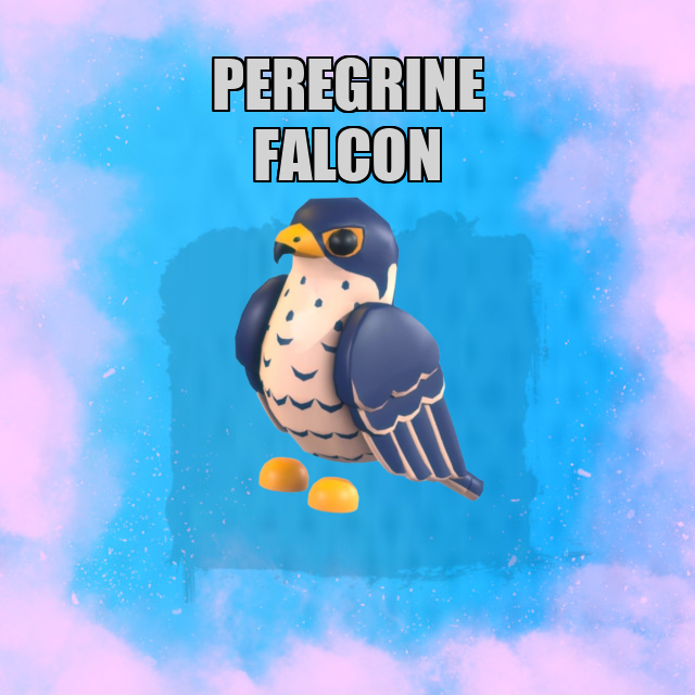 Peregrine Falcon NO POTION Adopt Me