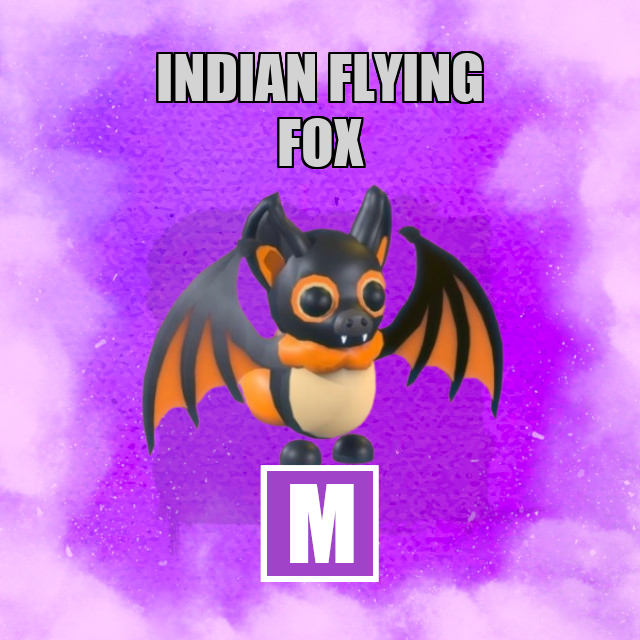 Indian Flying Fox MEGA Adopt Me