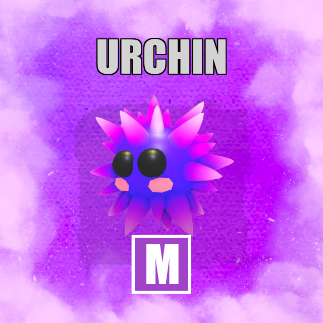 Urchin MEGA Adopt Me